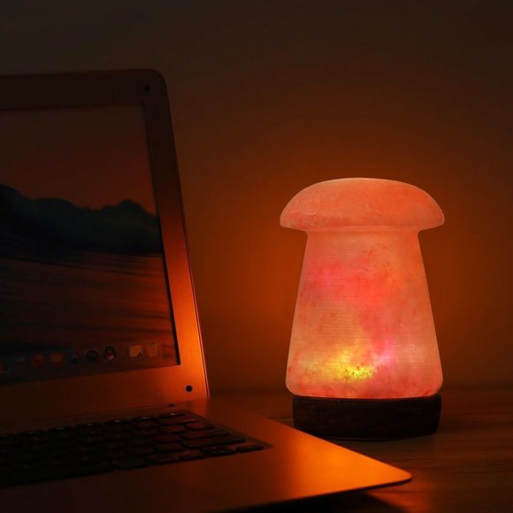 Himalayan Salt- USB Mushroom shape- Best Gift Item - Picture 2 of 3